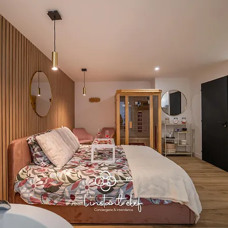 Au Mans - Sauna, Jacuzzi & Parking Prive * Le Mans