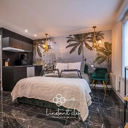 Au Mans - Sauna, Jacuzzi & Parking Prive 아파트 르망